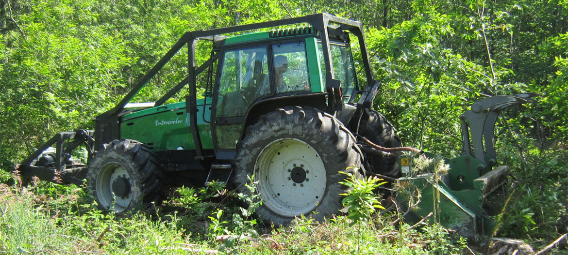 travaux forestiers en sologne