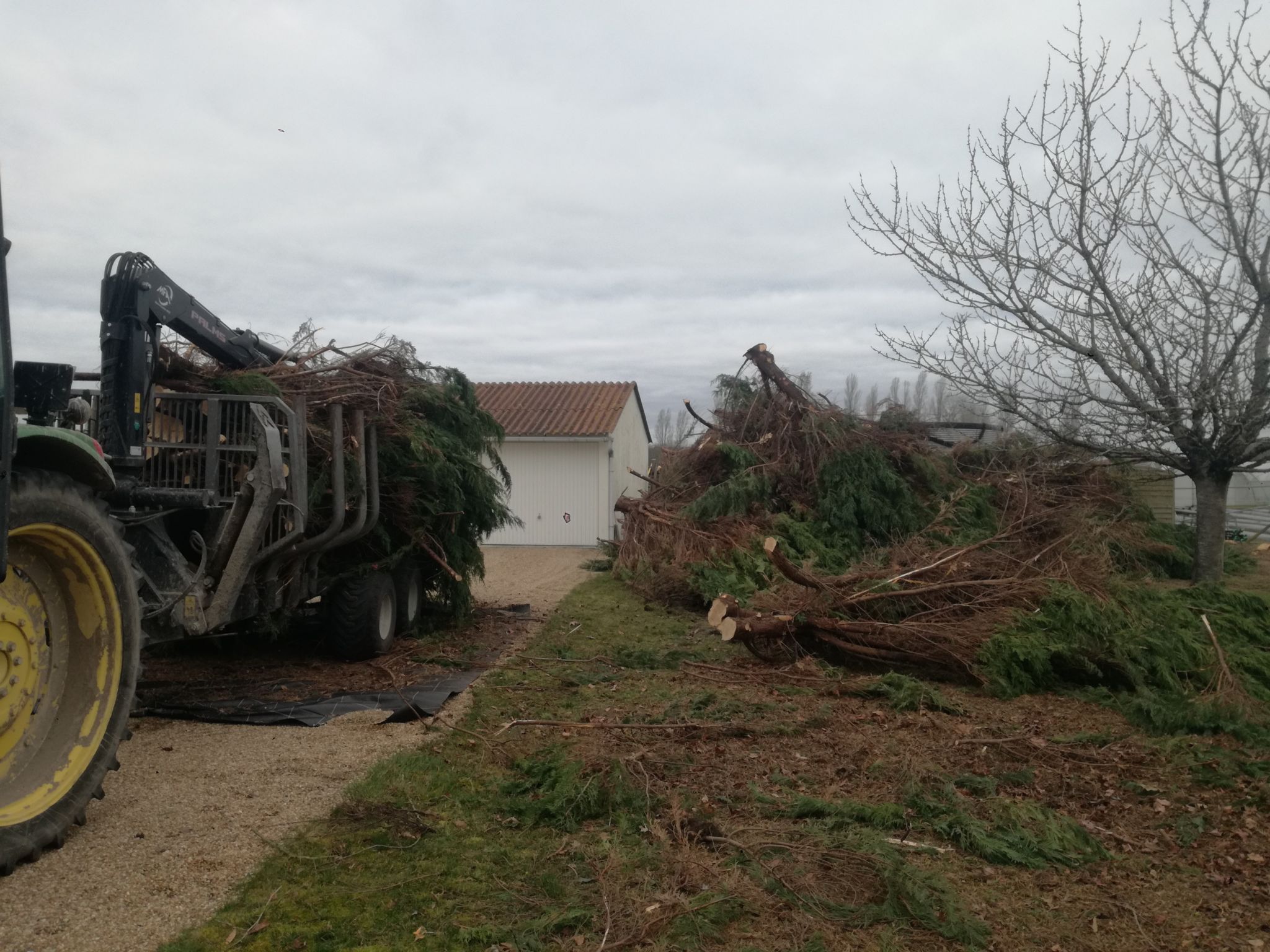 Réduction ou Suppression de haie • Les Forestières de Sologne